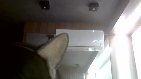 skinnykittencam online show from July 30, 2:12 am