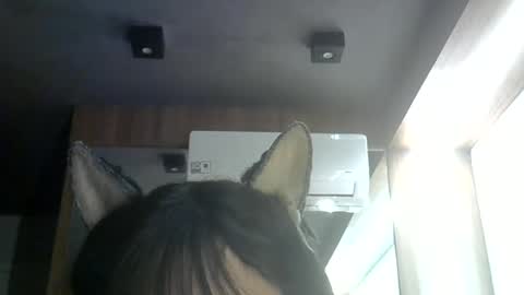 skinnykittencam online show from June 28, 1:12 am