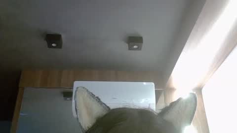 skinnykittencam online show from July 16, 4:43 pm