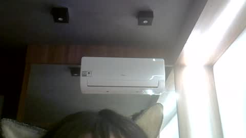 skinnykittencam online show from July 24, 5:21 pm