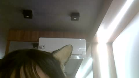 skinnykittencam online show from July 25, 6:39 pm