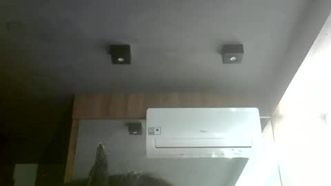 skinnykittencam online show from July 10, 10:31 am