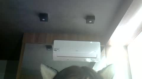 skinnykittencam online show from June 25, 3:36 am