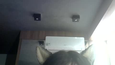 skinnykittencam online show from June 25, 5:12 am