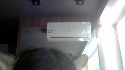 skinnykittencam online show from June 26, 7:03 am