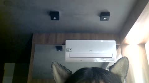 skinnykittencam online show from June 29, 10:48 am
