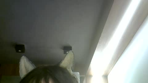 skinnykittencam online show from July 5, 6:31 am