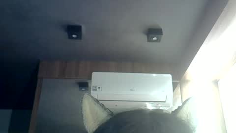 skinnykittencam online show from June 13, 3:06 am