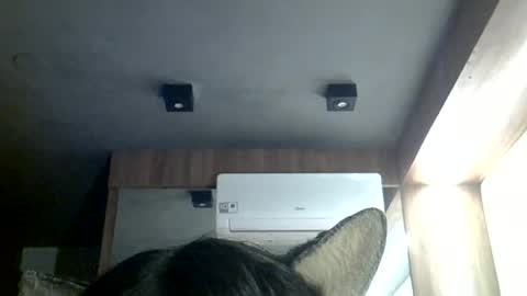 skinnykittencam online show from June 24, 3:35 am