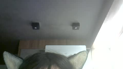 skinnykittencam online show from July 1, 2:15 pm