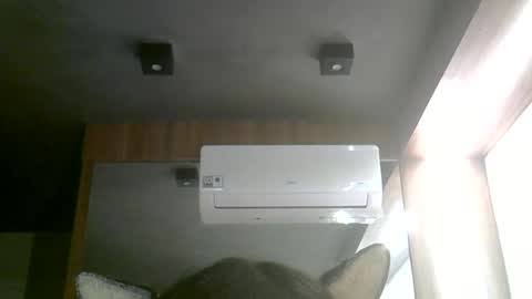 skinnykittencam online show from June 27, 7:14 am