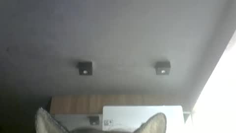 skinnykittencam online show from July 11, 11:13 am
