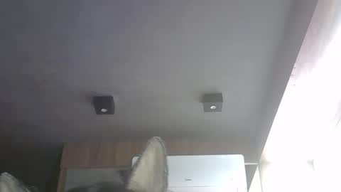 skinnykittencam online show from March 6, 1:37 am