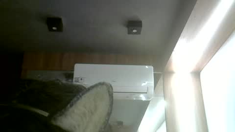 skinnykittencam online show from June 22, 3:25 am