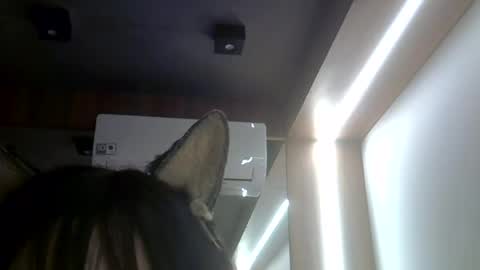 skinnykittencam online show from July 23, 2:09 am