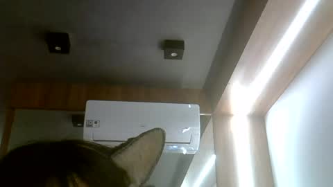 skinnykittencam online show from July 21, 5:15 pm