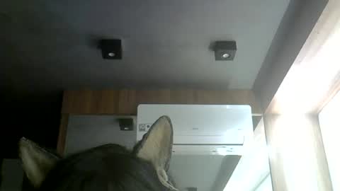 skinnykittencam online show from June 16, 4:38 am