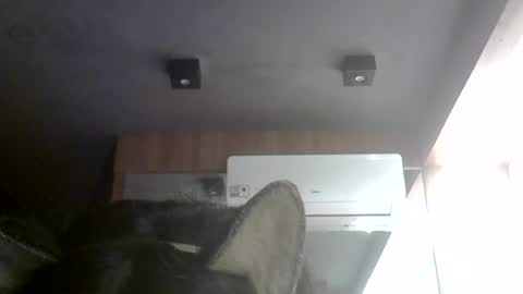 skinnykittencam online show from August 1, 10:28 am