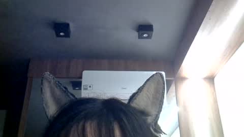 skinnykittencam online show from July 22, 6:54 pm