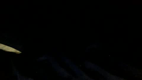 skinnypole6 online show from December 4, 6:00 pm