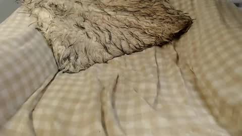 skinnytrans69 online show from January 14, 4:37 pm