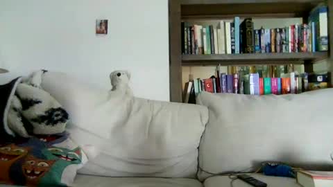 Sky Winters online show from June 19, 8:59 pm