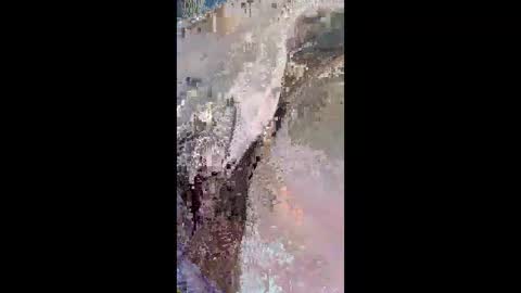 sleepymac100 online show from March 18, 3:34 am