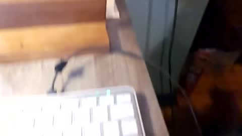 Snackyyyy online show from February 17, 3:27 am