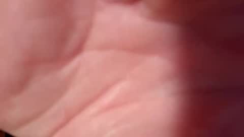 Snapshot of snooty05 chatting on February 10, 10:51 pm Snooty online show from February 10, 10:51 pm