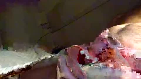 Snapshot of snooty05 chatting on January 16, 10:23 pm Snooty online show from January 16, 10:23 pm