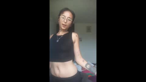 Sofi cat online show from May 8, 3:17 pm