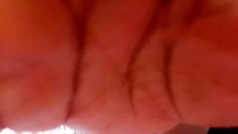 Sofia online show from April 29, 3:11 am