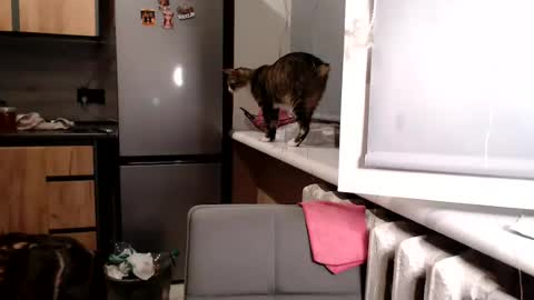 Sofi online show from June 27, 7:31 pm