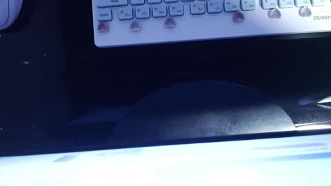 SOFIA NIX online show from January 13, 6:06 am