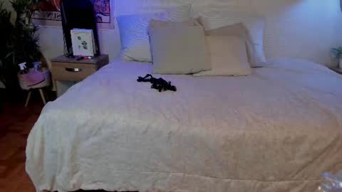 sofii_wild online show from June 17, 11:59 am