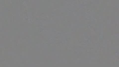 softworker online show from April 30, 8:30 am