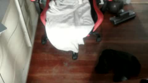 sohrnynhi4u online show from November 18, 7:00 am