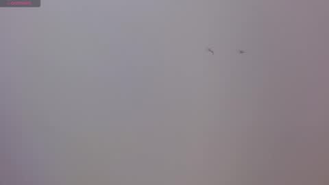 Sophie online show from November 17, 8:44 pm