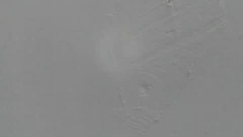 sophia_ebony___ online show from February 8, 1:14 pm