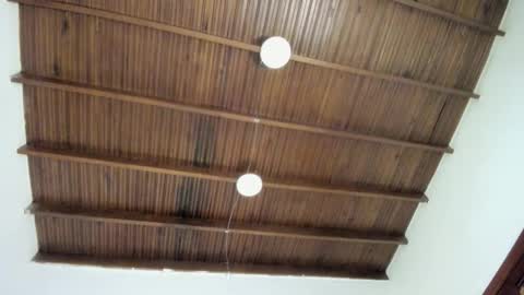 sophie_smith19 online show from December 22, 1:18 pm