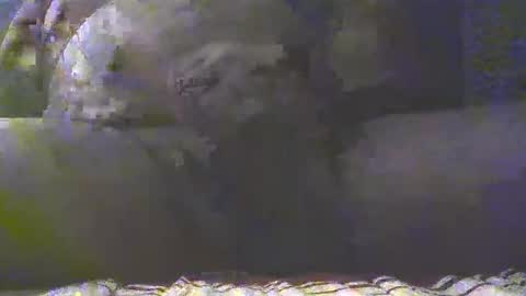 Snapshot of southgolan chatting on March 4, 7:32 pm Golan online show from March 4, 7:32 pm