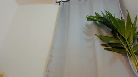 Luciana... online show from February 2, 1:02 am