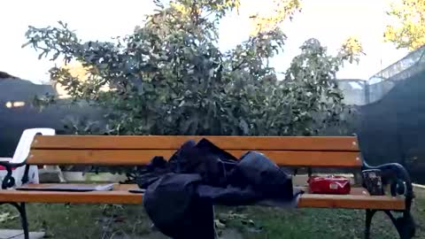 My name is Maya Lush is activeThere are legends that in this room all your wishes can come true  Private is Open online show from October 22, 6:05 am