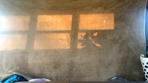 starbie online show from December 30, 4:29 pm