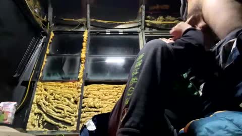 starbie online show from February 6, 12:11 am