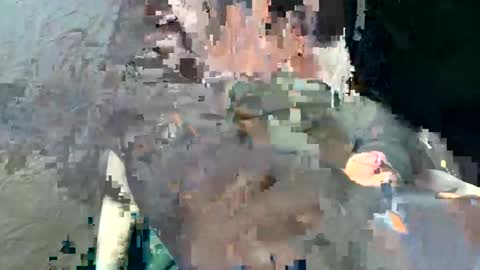 starplayerboy online show from November 6, 8:12 pm