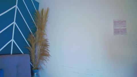 Stefano online show from December 4, 12:38 pm