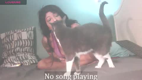 Stella Clitella online show from October 3, 11:40 am