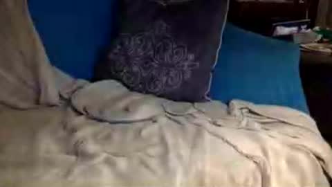 STEVE CASHMASTER 1comedia online show from June 27, 3:23 am