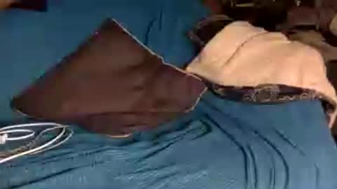 STEVE CASHMASTER 1comedia online show from June 15, 4:04 am
